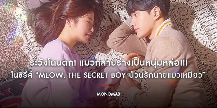 ระวังโดนตก! แมวกลายร่างเป็นหนุ่มหล่อ!!! ในซีรีส์ “Meow, the Secret Boy ป่วนรักนายแมวเหมียว”